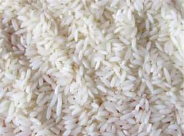 Manufacturers Exporters and Wholesale Suppliers of Sona Masuri Rice Nagpur Maharashtra
